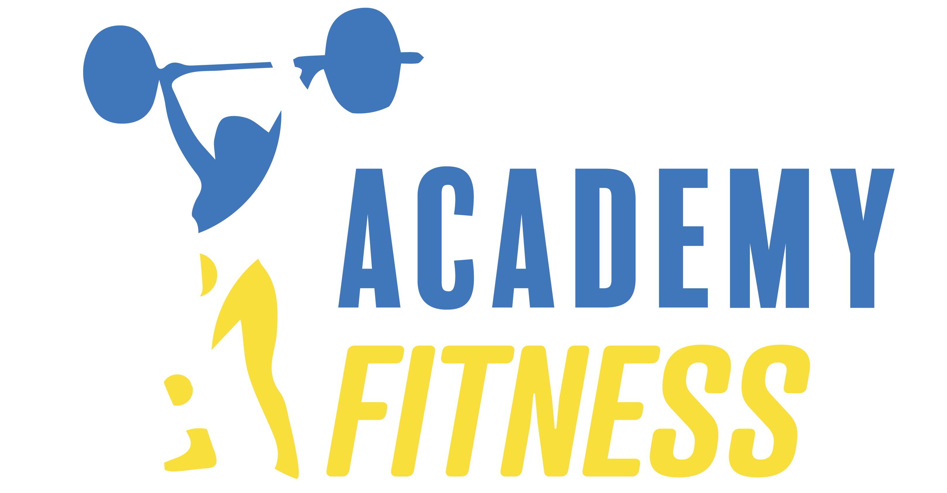 Academy Fitness Online